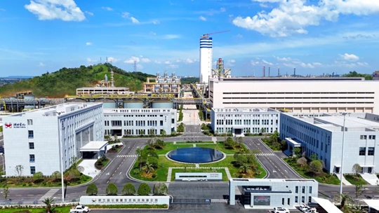 楚星生態(tài)年產40萬噸磷銨、20萬噸硫基復合肥項目竣工投產