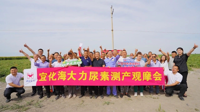 宜化海大力尿素示范田測產(chǎn)觀摩會成功舉辦