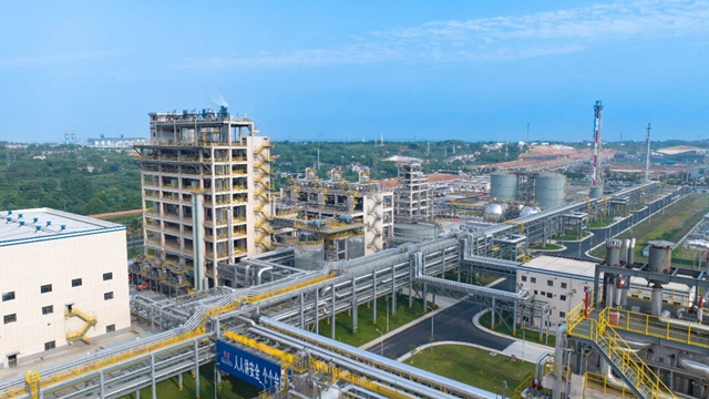 集團兩家單位入選2024年度石化行業(yè)重點產(chǎn)品能效“領(lǐng)跑者”名單